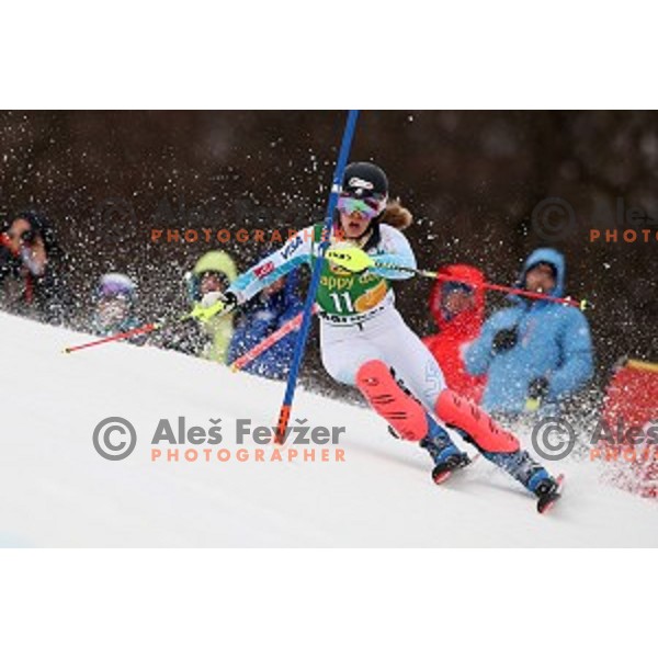 Resi Stiegler skiing in first run of FIS Audi World Cup Alpine Skiing Slalom for 52 Golden Fox - Zlata Lisica in Maribor, Slovenia on January 31, 2016 which was cancelled due to warm temperatures