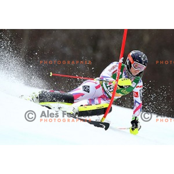 Anne sophie barthet skiing in first run of FIS Audi World Cup Alpine Skiing Slalom for 52 Golden Fox - Zlata Lisica in Maribor, Slovenia on January 31, 2016 which was cancelled due to warm temperatures