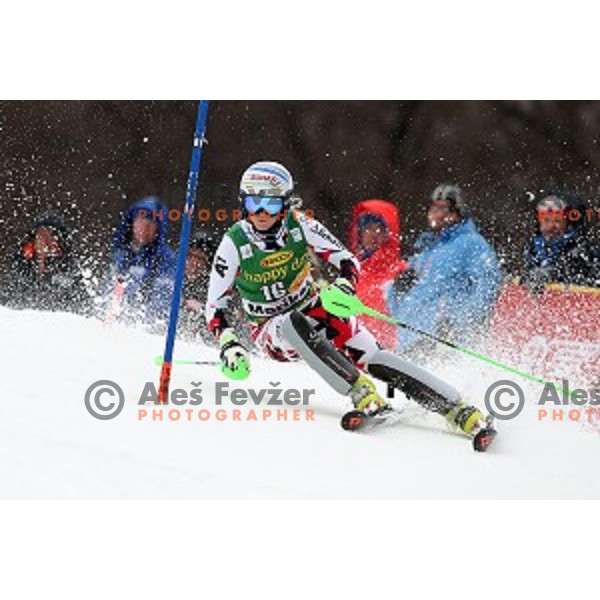 Eva maria Brem skiing in first run of FIS Audi World Cup Alpine Skiing Slalom for 52 Golden Fox - Zlata Lisica in Maribor, Slovenia on January 31, 2016 which was cancelled due to warm temperatures