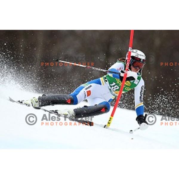 Anna Swenn Larsson skiing in first run of FIS Audi World Cup Alpine Skiing Slalom for 52 Golden Fox - Zlata Lisica in Maribor, Slovenia on January 31, 2016 which was cancelled due to warm temperatures