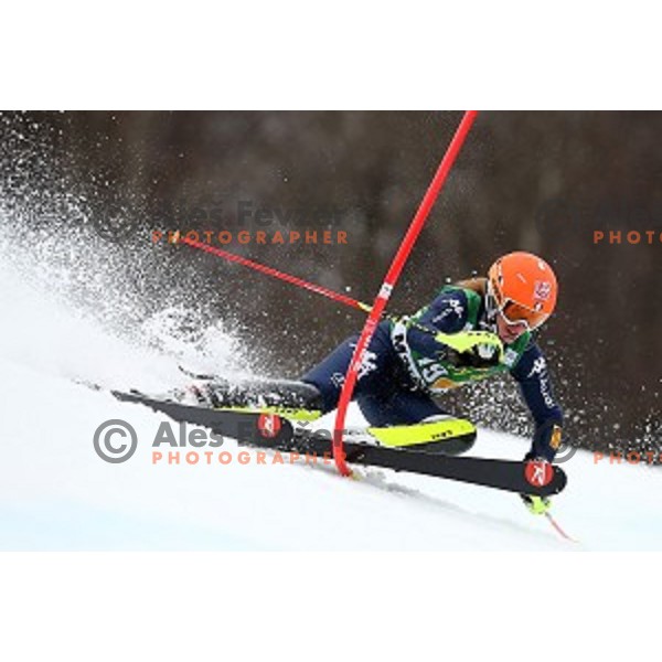 Chiara costazza skiing in first run of FIS Audi World Cup Alpine Skiing Slalom for 52 Golden Fox - Zlata Lisica in Maribor, Slovenia on January 31, 2016 which was cancelled due to warm temperatures