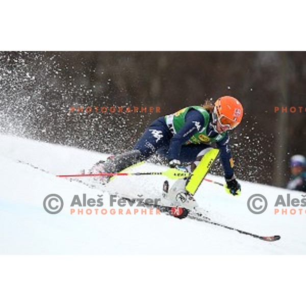 Chiara costazza skiing in first run of FIS Audi World Cup Alpine Skiing Slalom for 52 Golden Fox - Zlata Lisica in Maribor, Slovenia on January 31, 2016 which was cancelled due to warm temperatures