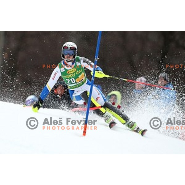 Emelie Wikstreom skiing in first run of FIS Audi World Cup Alpine Skiing Slalom for 52 Golden Fox - Zlata Lisica in Maribor, Slovenia on January 31, 2016 which was cancelled due to warm temperatures