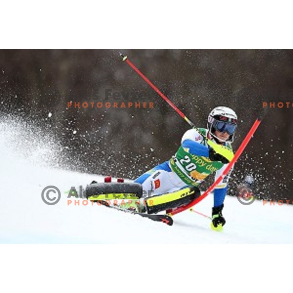 Emelie Wikstreom skiing in first run of FIS Audi World Cup Alpine Skiing Slalom for 52 Golden Fox - Zlata Lisica in Maribor, Slovenia on January 31, 2016 which was cancelled due to warm temperatures