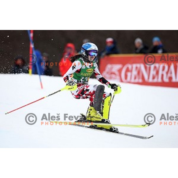 Katharina Truppe skiing in first run of FIS Audi World Cup Alpine Skiing Slalom for 52 Golden Fox - Zlata Lisica in Maribor, Slovenia on January 31, 2016 which was cancelled due to warm temperatures