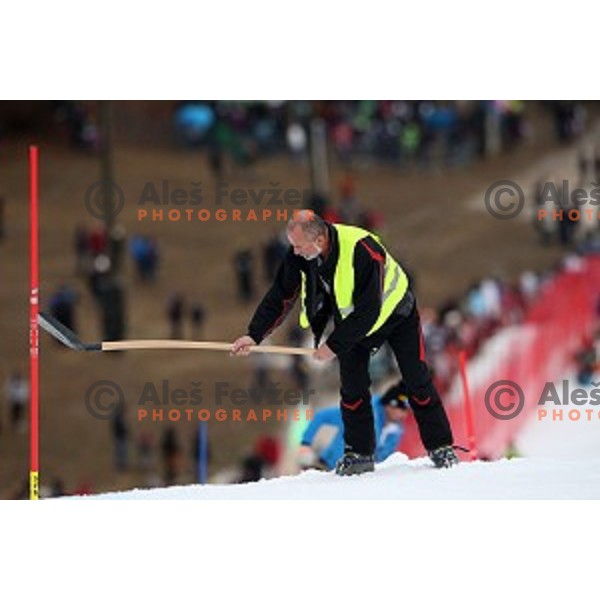 skiing in first run of FIS Audi World Cup Alpine Skiing Slalom for 52 Golden Fox - Zlata Lisica in Maribor, Slovenia on January 31, 2016 which was cancelled due to warm temperatures