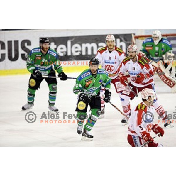 of Telemach Olimpija in action during ice-hockey match Telemach Olimpija - KAC in EBEL league 2015/2016 in Tivoli Hall, Ljubljana, Slovenia on January 31, 2016