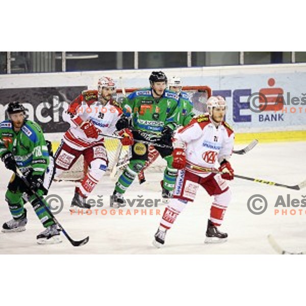 of Telemach Olimpija in action during ice-hockey match Telemach Olimpija - KAC in EBEL league 2015/2016 in Tivoli Hall, Ljubljana, Slovenia on January 31, 2016