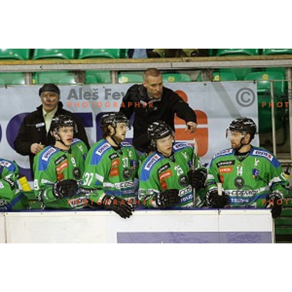 of Telemach Olimpija in action during ice-hockey match Telemach Olimpija - KAC in EBEL league 2015/2016 in Tivoli Hall, Ljubljana, Slovenia on January 31, 2016