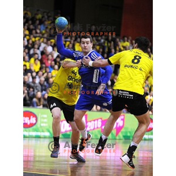 Miha Zarabec in action during 1.NLB leasing liga handball match Gorenje Velenje- Celje Pivovarna Lasko in Red Hall, Velenje, Slovenia on February 24, 2016