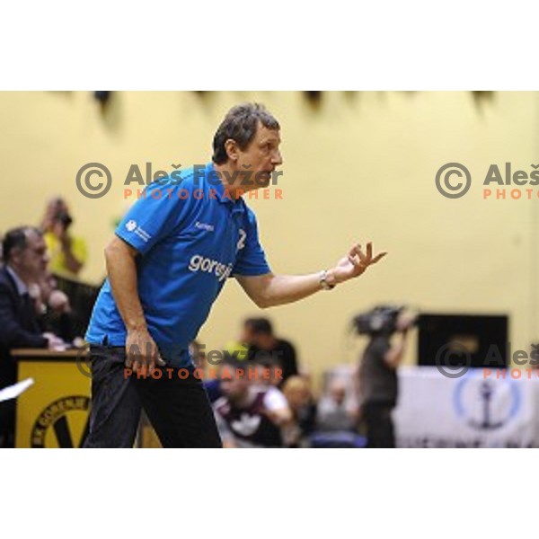 Marko Sibila, head coach of Gorenje in action during 1.NLB leasing liga handball match Gorenje Velenje- Celje Pivovarna Lasko in Red Hall, Velenje, Slovenia on February 24, 2016