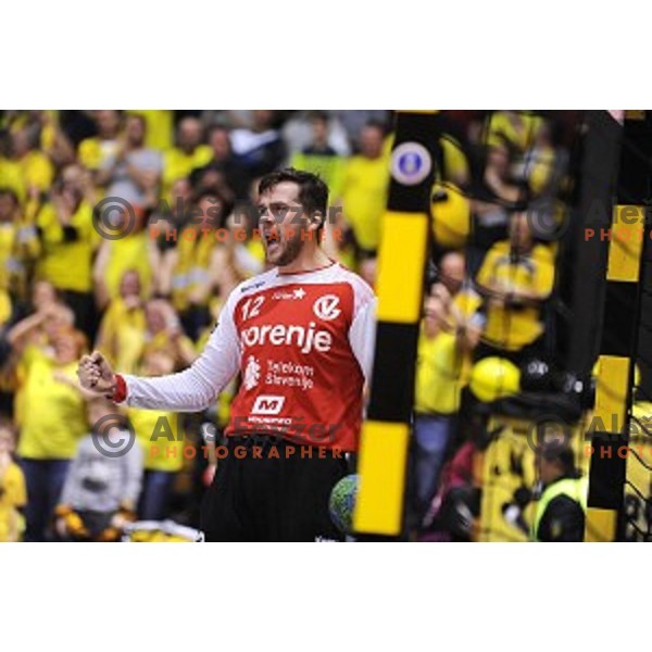 Benjamin Buric in action during 1.NLB leasing liga handball match Gorenje Velenje- Celje Pivovarna Lasko in Red Hall, Velenje, Slovenia on February 24, 2016