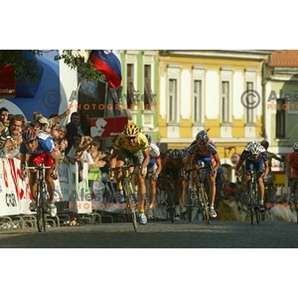 Bostjan Mervar of perutnina Ptuj, winner of last stage with finish in Novo mesto, Tour de Slovenie -professional cycling race, Slovenia on June 12, 2005