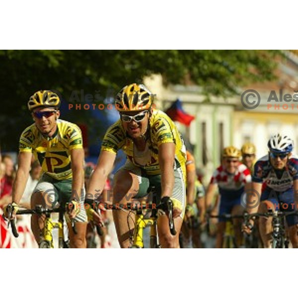 Martin Hvastja of perutnina Ptuj at last stage with finish in Novo mesto, Tour de Slovenie -professional cycling race, Slovenia on June 12, 2005