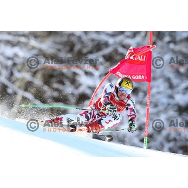 Marcel Hirscher (AUT) skiing in first run of AUDI FIS Ski World Cup Giant Slalom in Kranjska gora, Slovenia on March 4, 2016