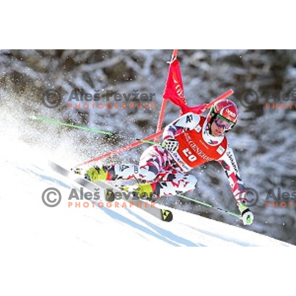 Roland Leitinger (AUT) skiing in first run of AUDI FIS Ski World Cup Giant Slalom in Kranjska gora, Slovenia on March 4, 2016