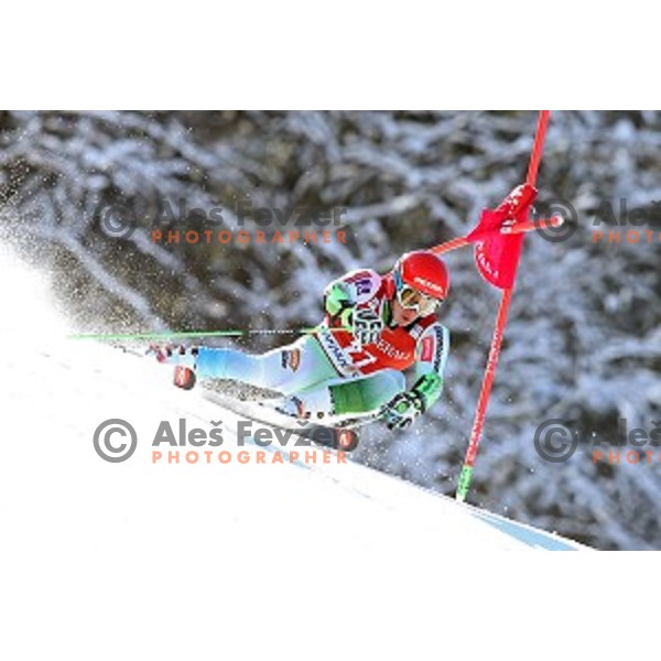 Zan Kranjec (SLO) skiing in first run of AUDI FIS Ski World Cup Giant Slalom in Kranjska gora, Slovenia on March 4, 2016