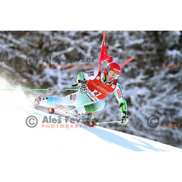 Zan Kranjec (SLO) skiing in first run of AUDI FIS Ski World Cup Giant Slalom in Kranjska gora, Slovenia on March 4, 2016