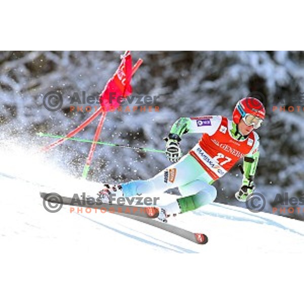 skiing in first run of AUDI FIS Ski World Cup Giant Slalom in Kranjska gora, Slovenia on March 4, 2016
