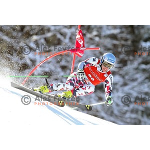Christoph Noesig (AUT) skiing in first run of AUDI FIS Ski World Cup Giant Slalom in Kranjska gora, Slovenia on March 4, 2016