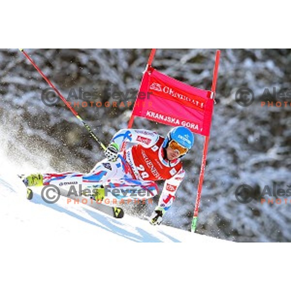 Steve Missillier (FRA) skiing in first run of AUDI FIS Ski World Cup Giant Slalom in Kranjska gora, Slovenia on March 4, 2016