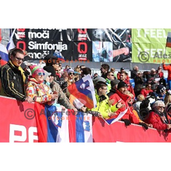 skiing in first run of AUDI FIS Ski World Cup Giant Slalom in Kranjska gora, Slovenia on March 4, 2016