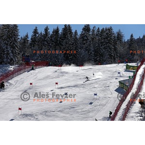 skiing in first run of AUDI FIS Ski World Cup Giant Slalom in Kranjska gora, Slovenia on March 4, 2016