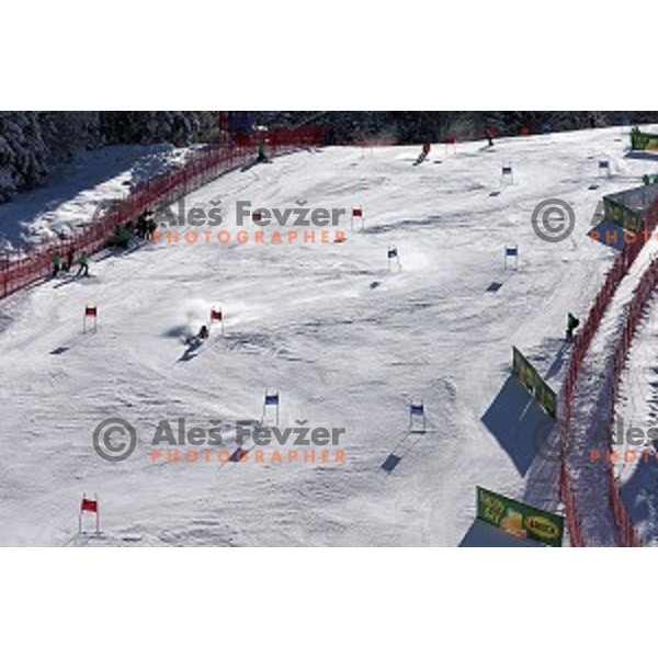 skiing in first run of AUDI FIS Ski World Cup Giant Slalom in Kranjska gora, Slovenia on March 4, 2016