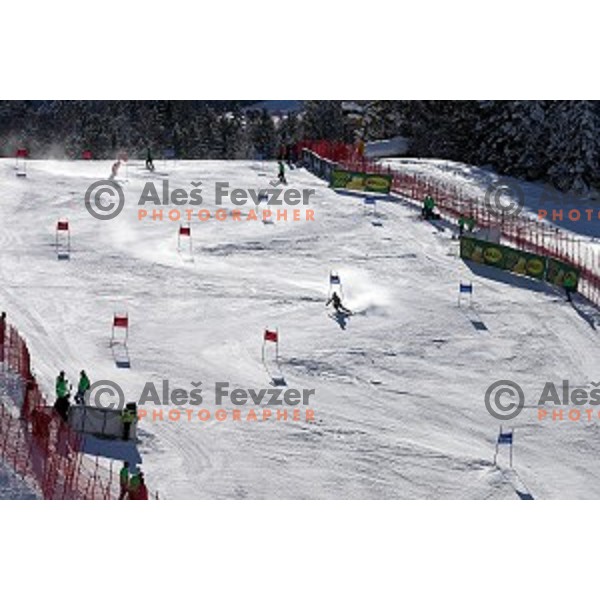 skiing in first run of AUDI FIS Ski World Cup Giant Slalom in Kranjska gora, Slovenia on March 4, 2016