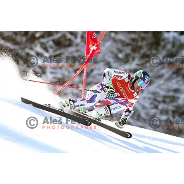 Mathieu Faivre (FRA) skiing in first run of AUDI FIS Ski World Cup Giant Slalom in Kranjska gora, Slovenia on March 4, 2016