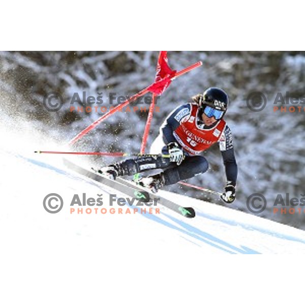 Marcus Sandell (FIN) skiing in first run of AUDI FIS Ski World Cup Giant Slalom in Kranjska gora, Slovenia on March 4, 2016