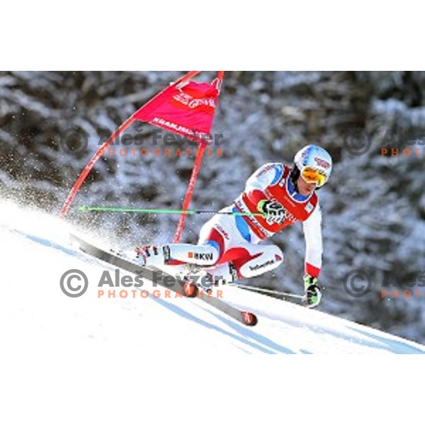 Carlo Janka (SUI) skiing in first run of AUDI FIS Ski World Cup Giant Slalom in Kranjska gora, Slovenia on March 4, 2016