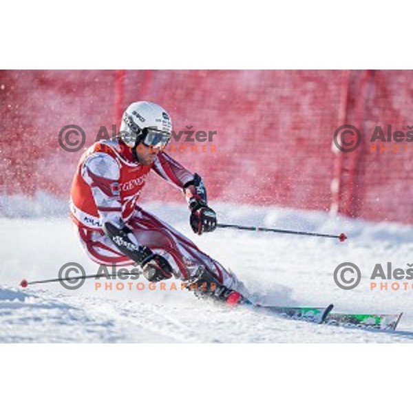 Erjon Tola (ALB) skiing in first run of AUDI FIS Ski World Cup Giant Slalom in Kranjska gora, Slovenia on March 4, 2016