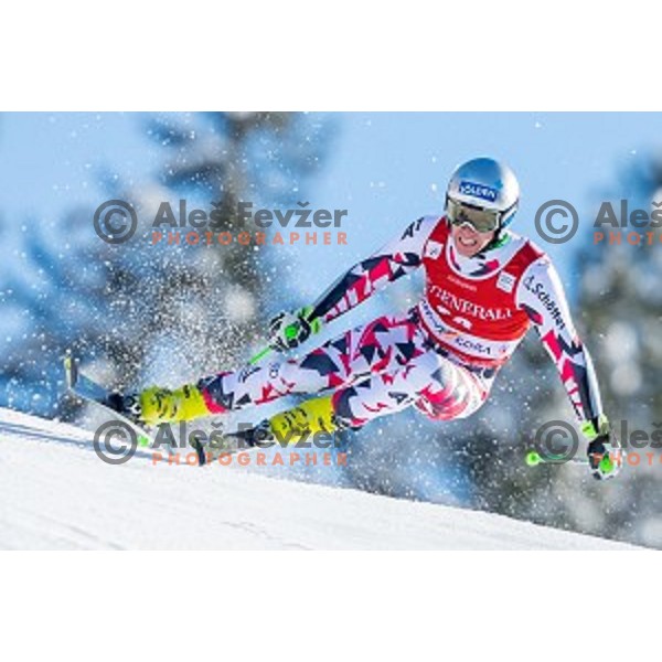 Christoph Noesig (AUT) skiing in first run of AUDI FIS Ski World Cup Giant Slalom in Kranjska gora, Slovenia on March 4, 2016