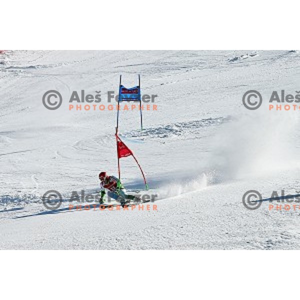 AUDI FIS Ski World Cup Giant Slalom in Kranjska gora, Slovenia on March 4, 2016