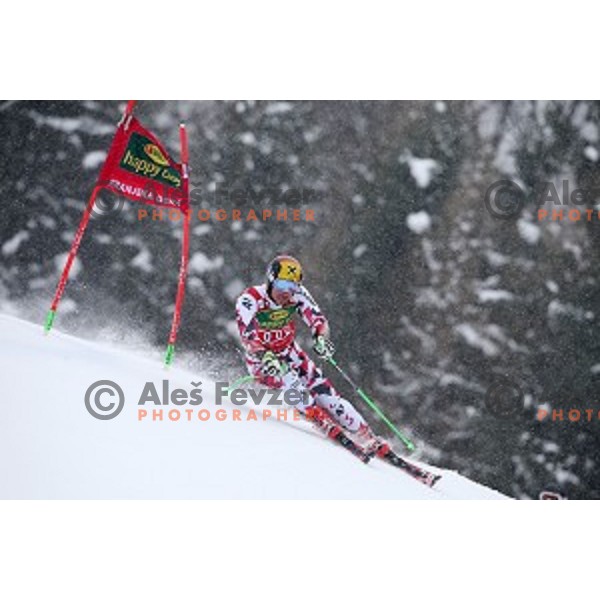 Marcel Hirscher (AUT) skiing in first run of AUDI FIS Ski World Cup Giant Slalom for 55.Vitranc Cup in Kranjska gora, Slovenia on March 5, 2016