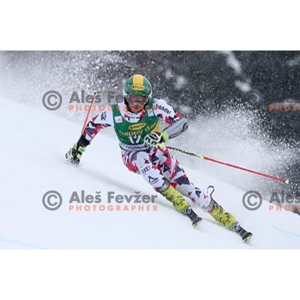 Phillip Schoerghofer (AUT) skiing in first run of AUDI FIS Ski World Cup Giant Slalom for 55.Vitranc Cup in Kranjska gora, Slovenia on March 5, 2016