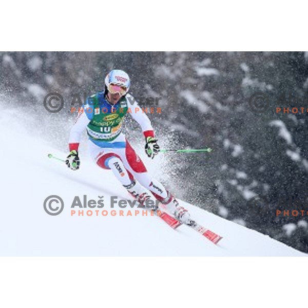 Carlo Janka (SUI) skiing in first run of AUDI FIS Ski World Cup Giant Slalom for 55.Vitranc Cup in Kranjska gora, Slovenia on March 5, 2016