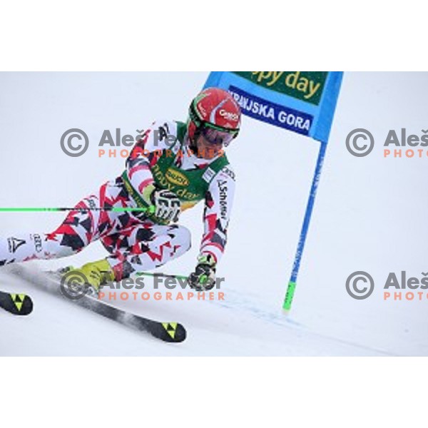 Roland Leitinger (AUT) skiing in first run of AUDI FIS Ski World Cup Giant Slalom for 55.Vitranc Cup in Kranjska gora, Slovenia on March 5, 2016