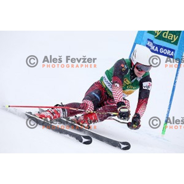 Filip Zubcic (CRO) skiing in first run of AUDI FIS Ski World Cup Giant Slalom for 55.Vitranc Cup in Kranjska gora, Slovenia on March 5, 2016