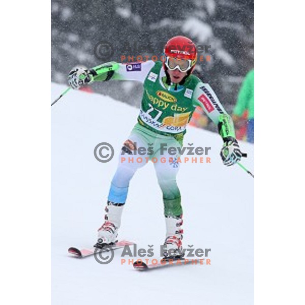 Zan Kranjec (SLO) skiing in first run of AUDI FIS Ski World Cup Giant Slalom for 55.Vitranc Cup in Kranjska gora, Slovenia on March 5, 2016