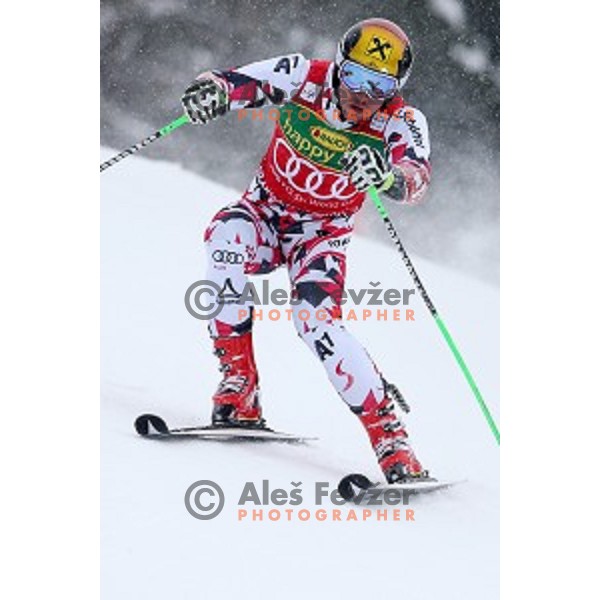 Marcel Hirscher (AUT) skiing in first run of AUDI FIS Ski World Cup Giant Slalom for 55.Vitranc Cup in Kranjska gora, Slovenia on March 5, 2016