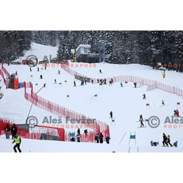 Course inspection before AUDI FIS Ski World Cup Giant Slalom for 55.Vitranc Cup in Kranjska gora, Slovenia on March 5, 2016