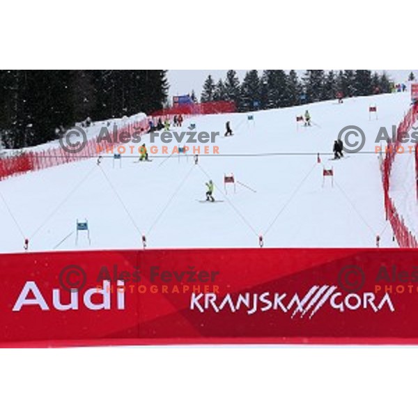 Course inspection before AUDI FIS Ski World Cup Giant Slalom for 55.Vitranc Cup in Kranjska gora, Slovenia on March 5, 2016