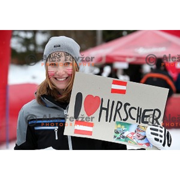 Fans of Marcel Hirscher cheering before first run of AUDI FIS Ski World Cup Giant Slalom for 55.Vitranc Cup in Kranjska gora, Slovenia on March 5, 2016