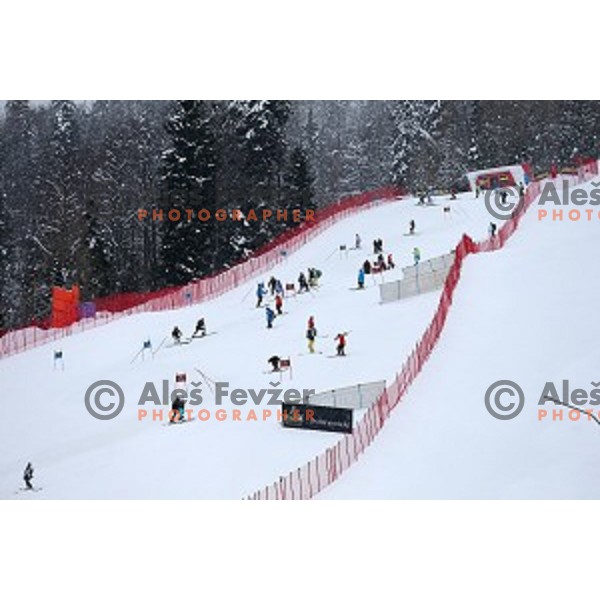 Course inspection before AUDI FIS Ski World Cup Giant Slalom for 55.Vitranc Cup in Kranjska gora, Slovenia on March 5, 2016