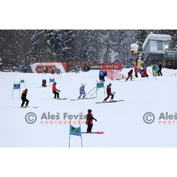 Course inspection before AUDI FIS Ski World Cup Giant Slalom for 55.Vitranc Cup in Kranjska gora, Slovenia on March 5, 2016