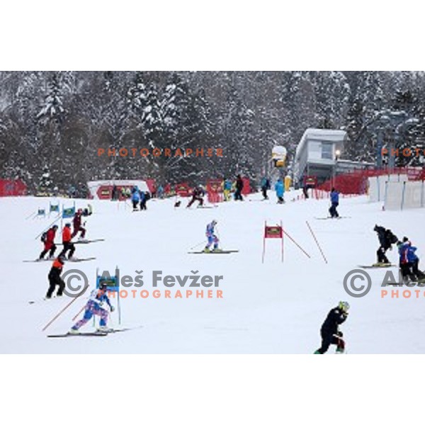 Course inspection before AUDI FIS Ski World Cup Giant Slalom for 55.Vitranc Cup in Kranjska gora, Slovenia on March 5, 2016
