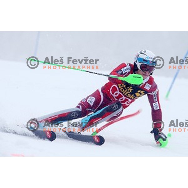 Henrik Kristoffersen (NOR) runner-up at AUDI FIS Ski World Cup Slalom for 55.Vitranc Cup in Kranjska gora, Slovenia on March 6, 2016