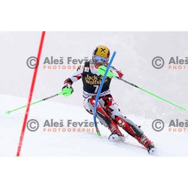 Marcel Hirscher (AUT) winner of AUDI FIS Ski World Cup Slalom for 55.Vitranc Cup in Kranjska gora, Slovenia on March 6, 2016
